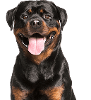 Для животных